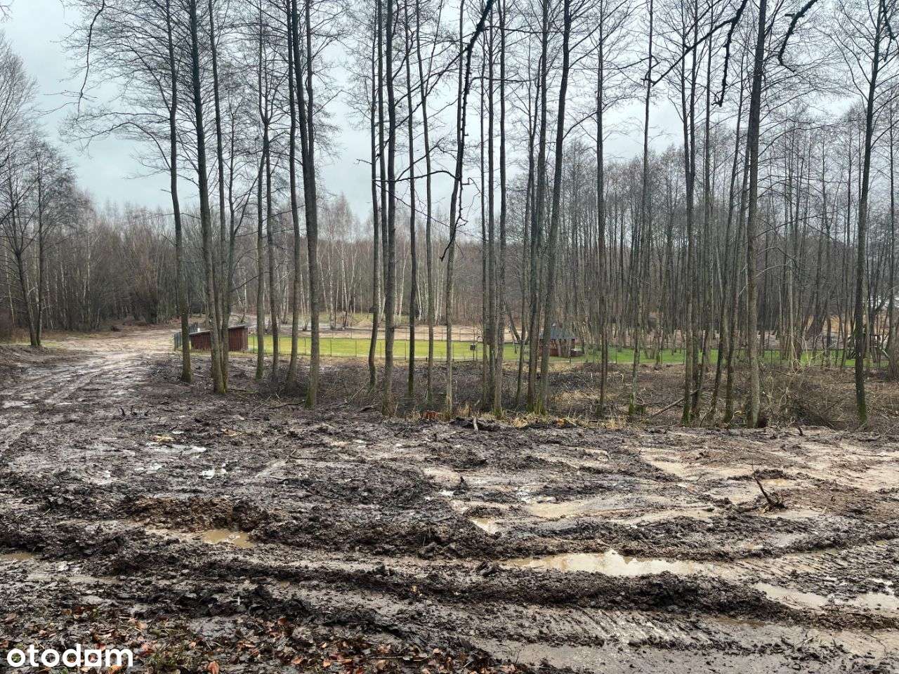 Działka z linią brzegową - Pełny obrazek: 2/3