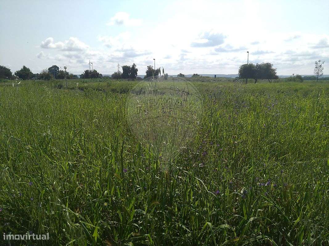 Terreno  para venda - Grande imagem: 5/15