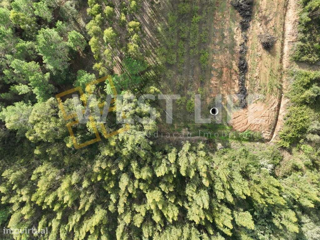 Terreno Agrícola de 8875m2 - Excelente exposição solar - Sobral da ... - Grande imagem: 5/19