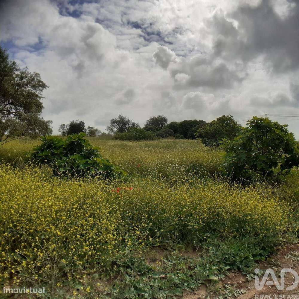 Terreno para construção em Tavira (Santa Maria e Santiago) de 31269,00 - Grande imagem: 4/8