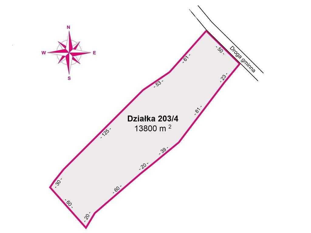 1,38 ha pod siedlisko, pasiekę lub fotowoltaikę - Pełny obrazek: 4/18