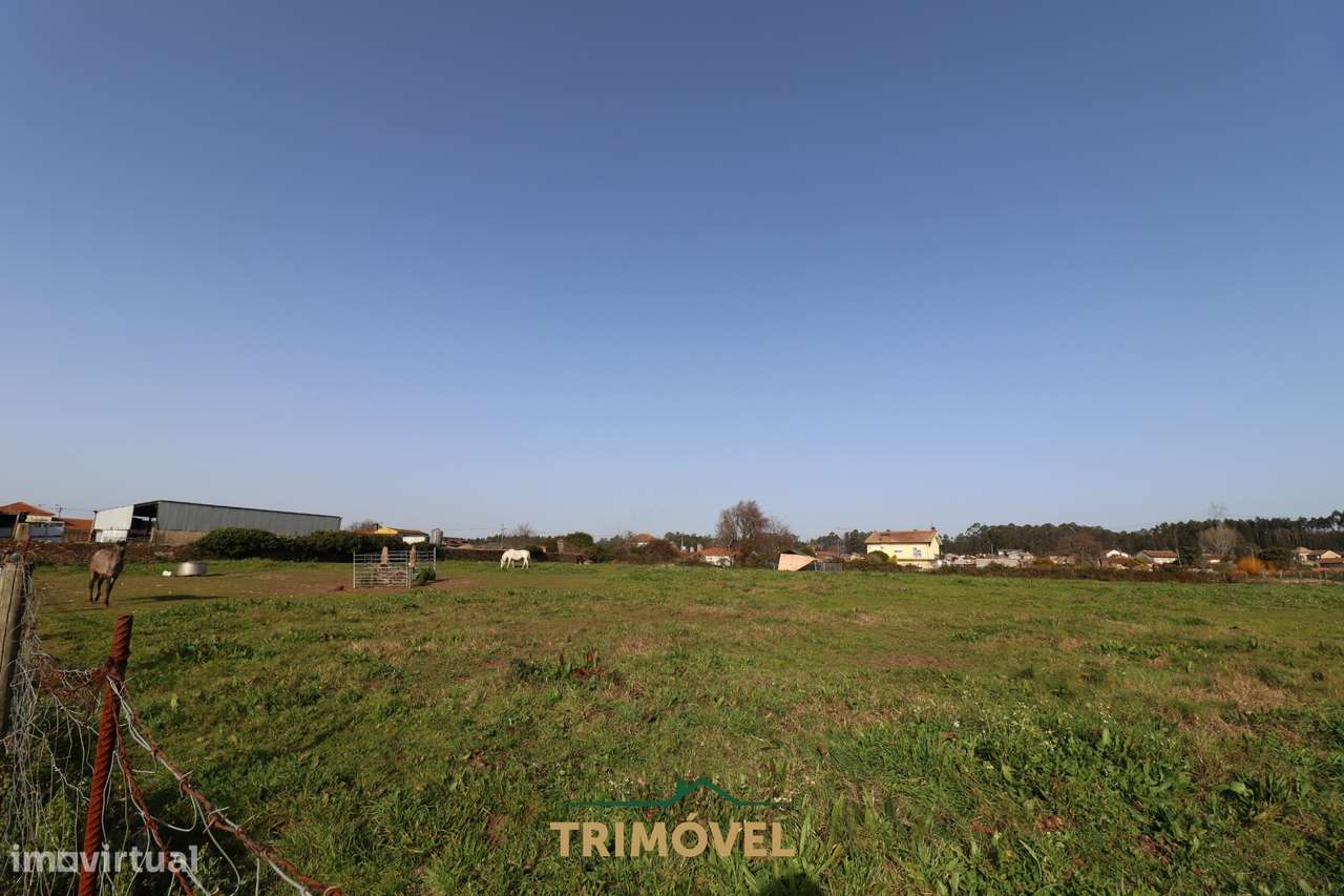 Terreno para construção - Loureiro - Grande imagem: 5/10