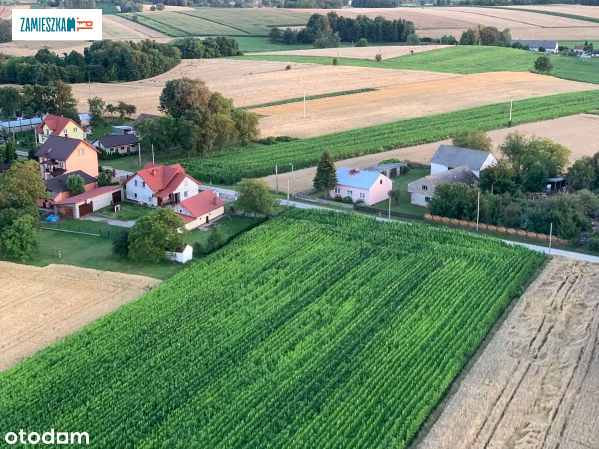 zam170864 - Pełny obrazek: 4/16