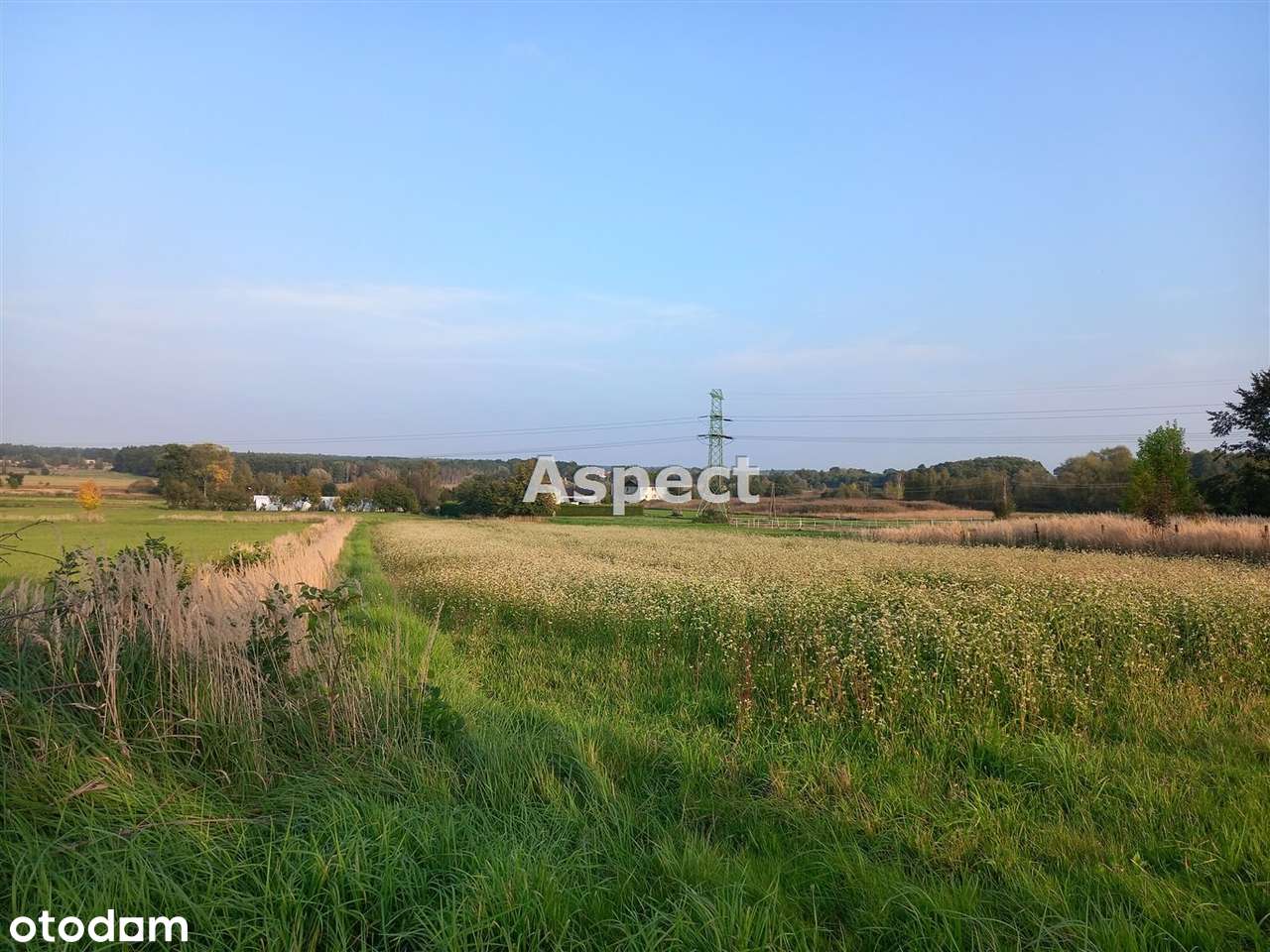 Działka budowlana pod inwestycję Suszec - Pełny obrazek: 4/5