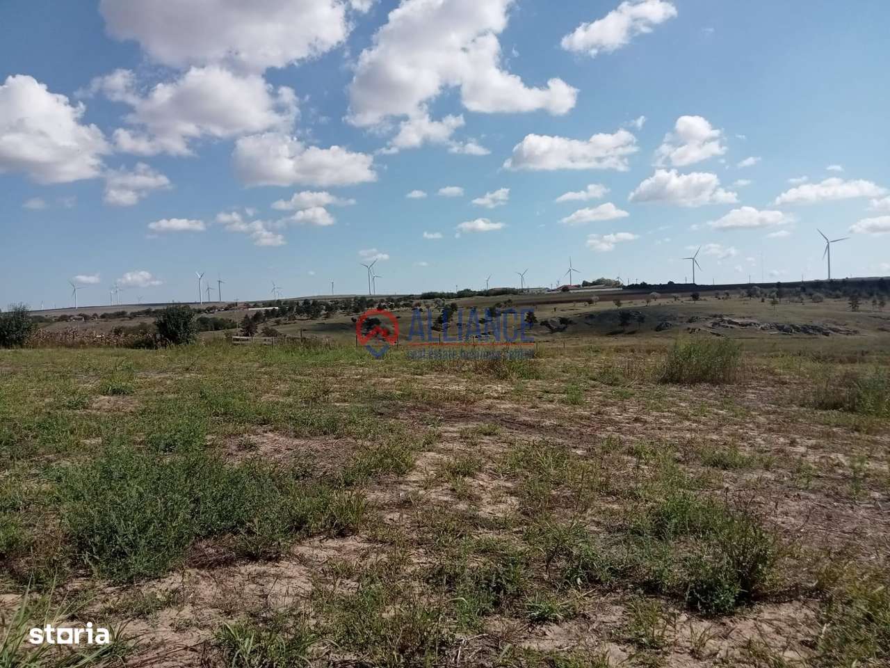 Teren intravilan 4.000 mp - Gradina, jud. Constanta-5