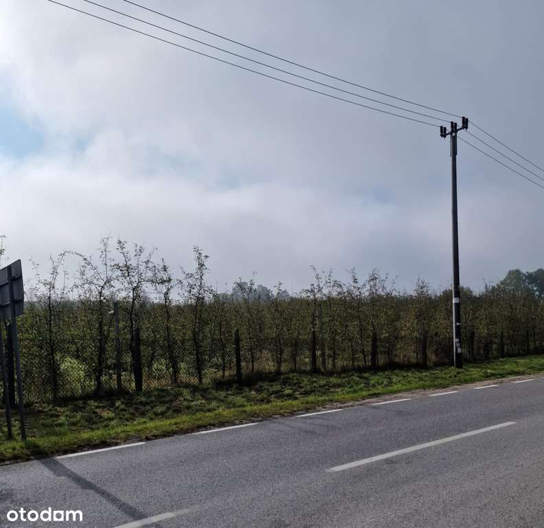 Działka usługowa 5100 m² – Doskonała lokalizacja-2