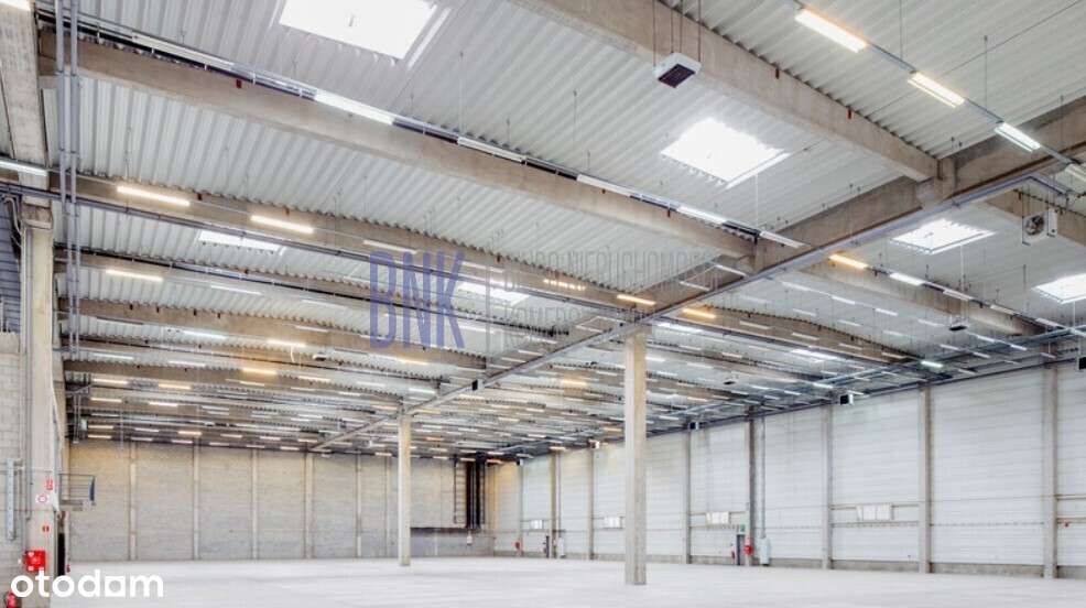 Powierzchnia magazynowa - Warszawa, Łopuszańska - Pełny obrazek: 2/5