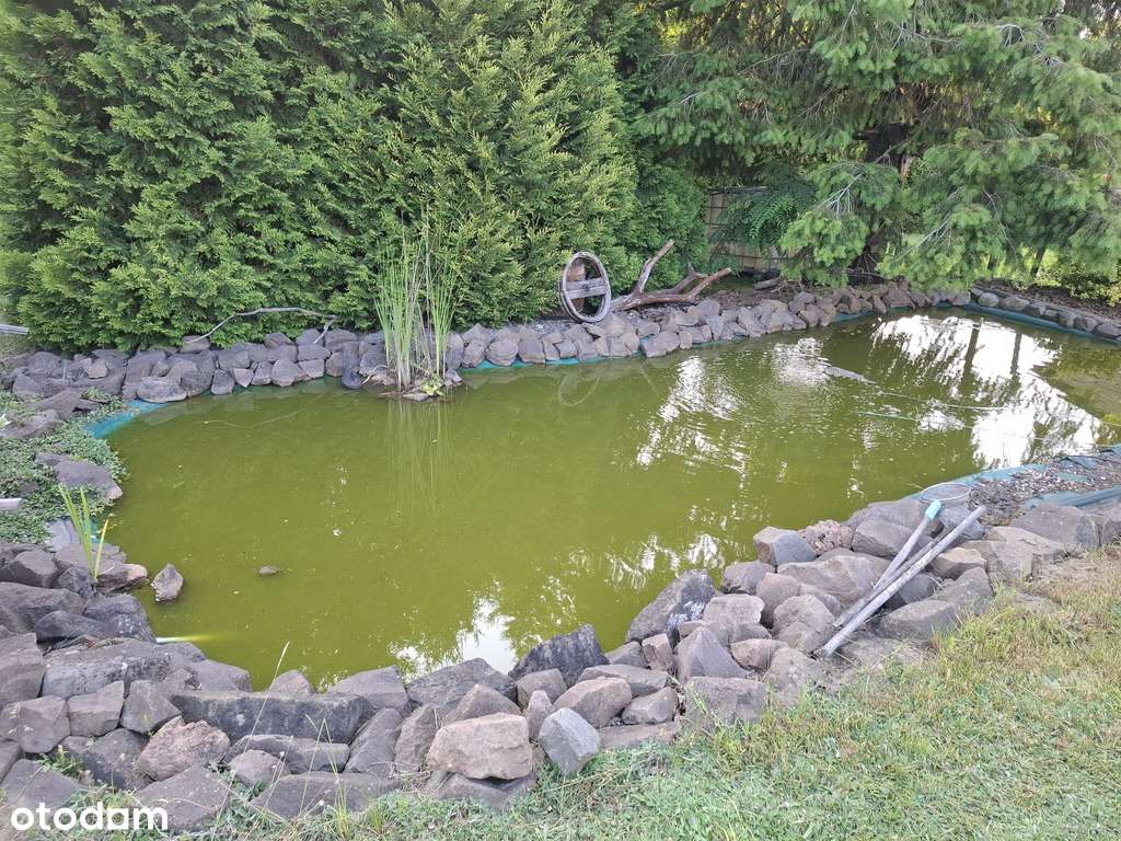 Dom z dużą działką i potencjałem inwestycyjnym - Pełny obrazek: 5/8