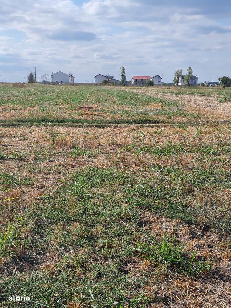 Teren intravilan Magurele - Imagine principală: 4/5