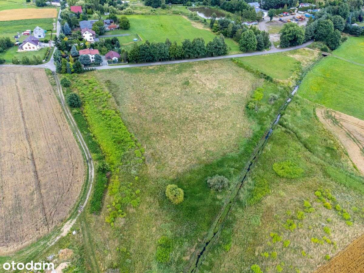 Sprzedam Duży Teren Rolny 1,5ha Żory Baranowice-6