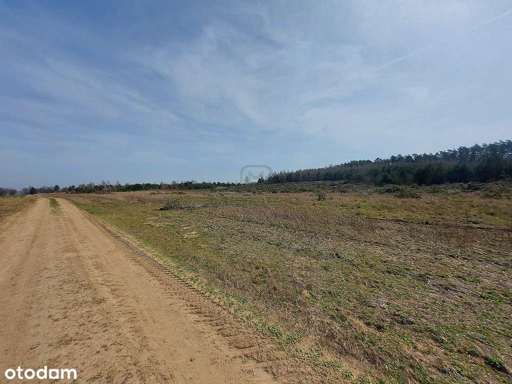 Działki na granicy Baczyna/Marwice miejscowy plan!-13