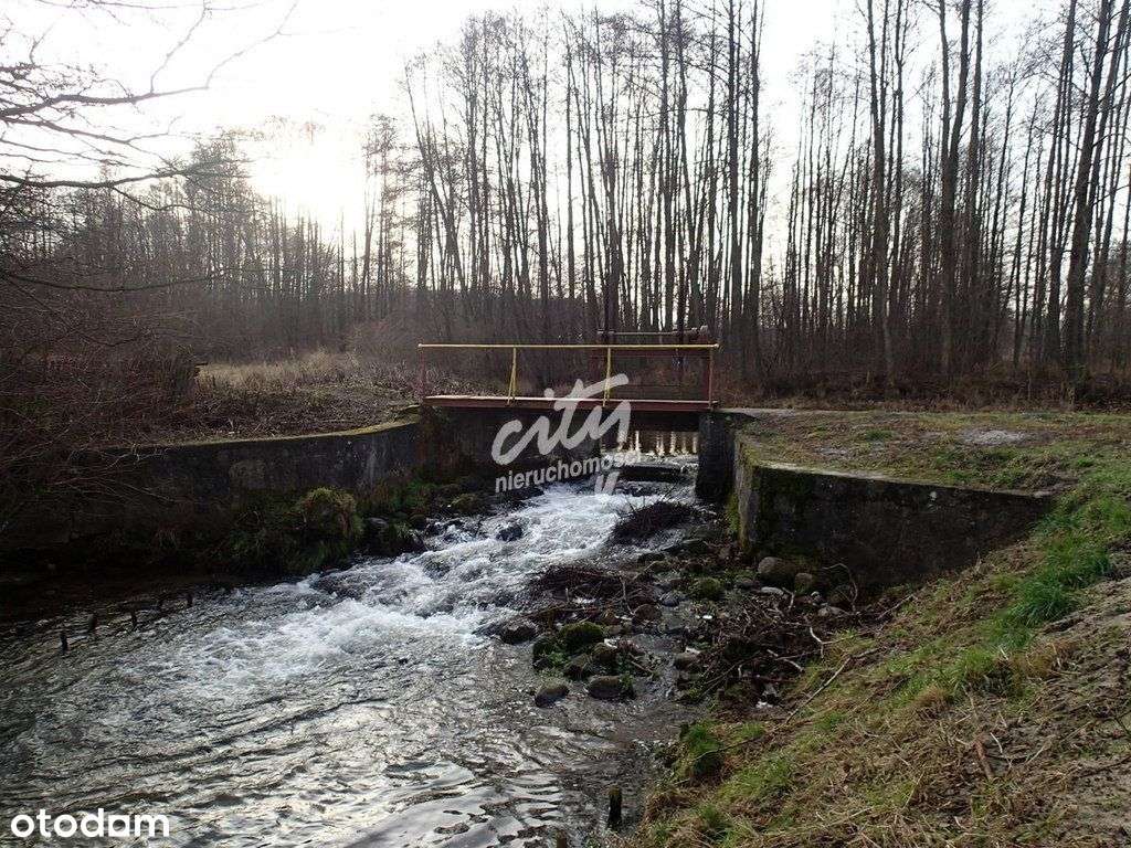 Młyn z możliwością zrobienia np. hotelu, zajazdu - Pełny obrazek: 4/15