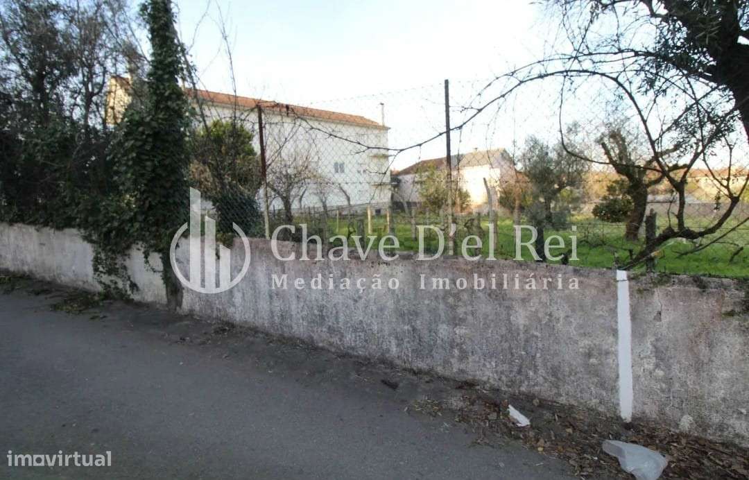 Terreno Rústico  Venda em Rio de Loba,Viseu - Grande imagem: 4/5