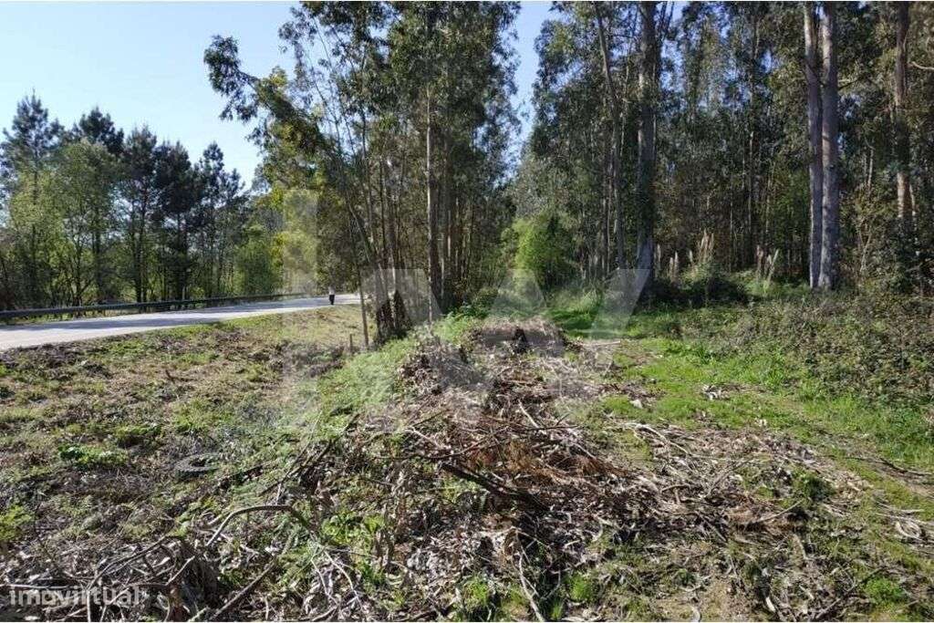 Terreno rústico com 700m2 na Avenida Jaime Isidoro (VL5) em Perosinho-11