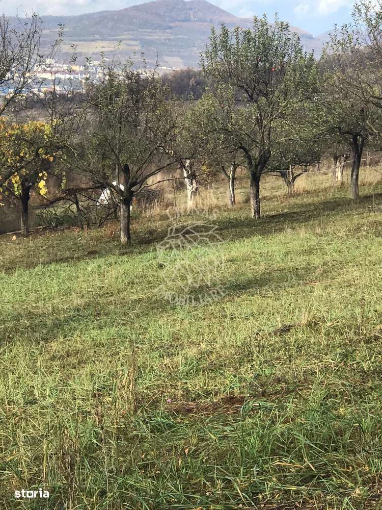 Teren intravilan 3800 mp-pretabil case-parcelabil-Zona Cartier Raal - Imagine principală: 5/7