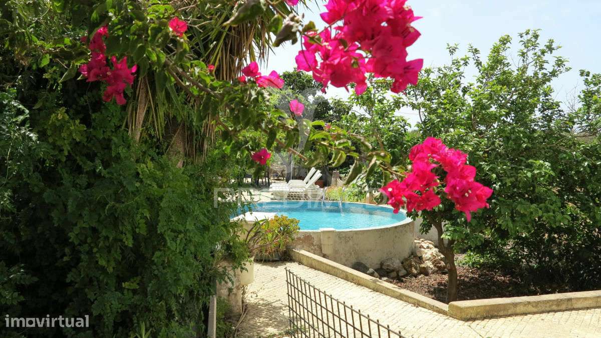 Quinta 10.080m2 com moradia bi familiar 411m2 e piscina - Grande imagem: 4/20