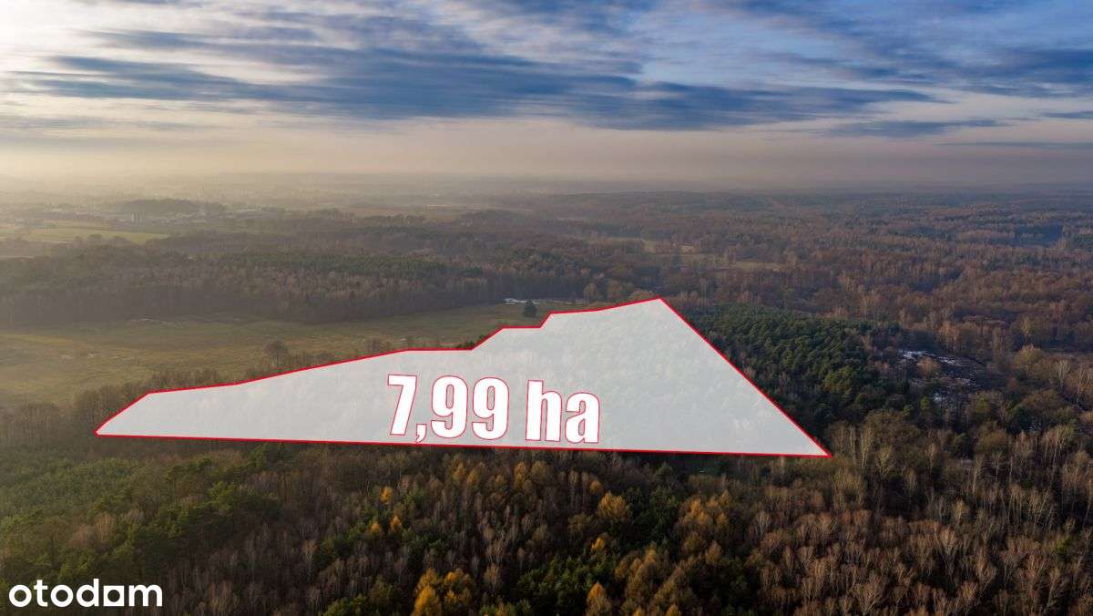 Działka Premium z prywatny lasem - 7,99ha-1