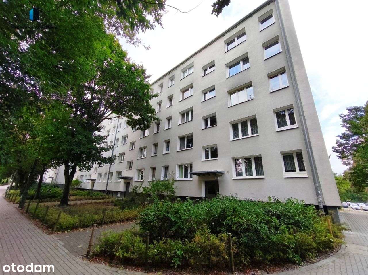 Rataje Os. Lecha 3 pokoje niezależne 53,3m2 loggia-7