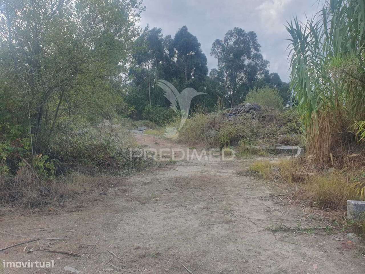 Terreno com 22 000m2 em Fafe - Grande imagem: 5/15