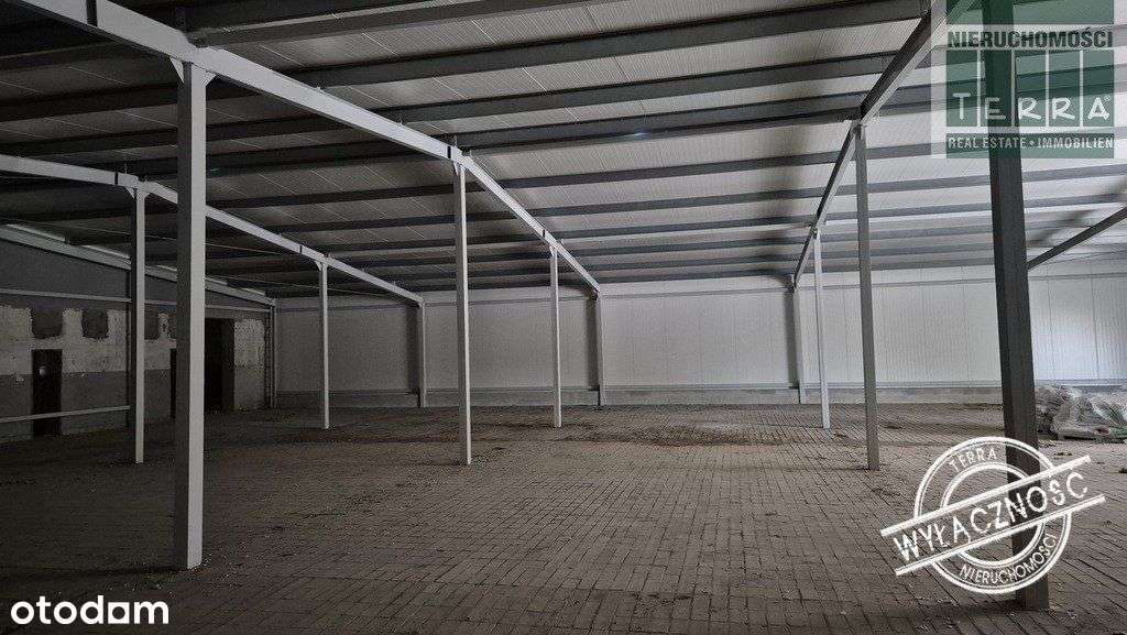 Nowa hala magazynowa - Pełny obrazek: 4/9