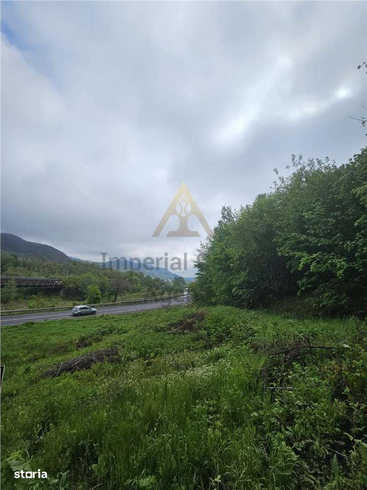 TEREN  PENTRU BUSSINESS 2842 MP DE VANZARE IN STATIUNEA  TARGU OCNA - Imagine principală: 4/10