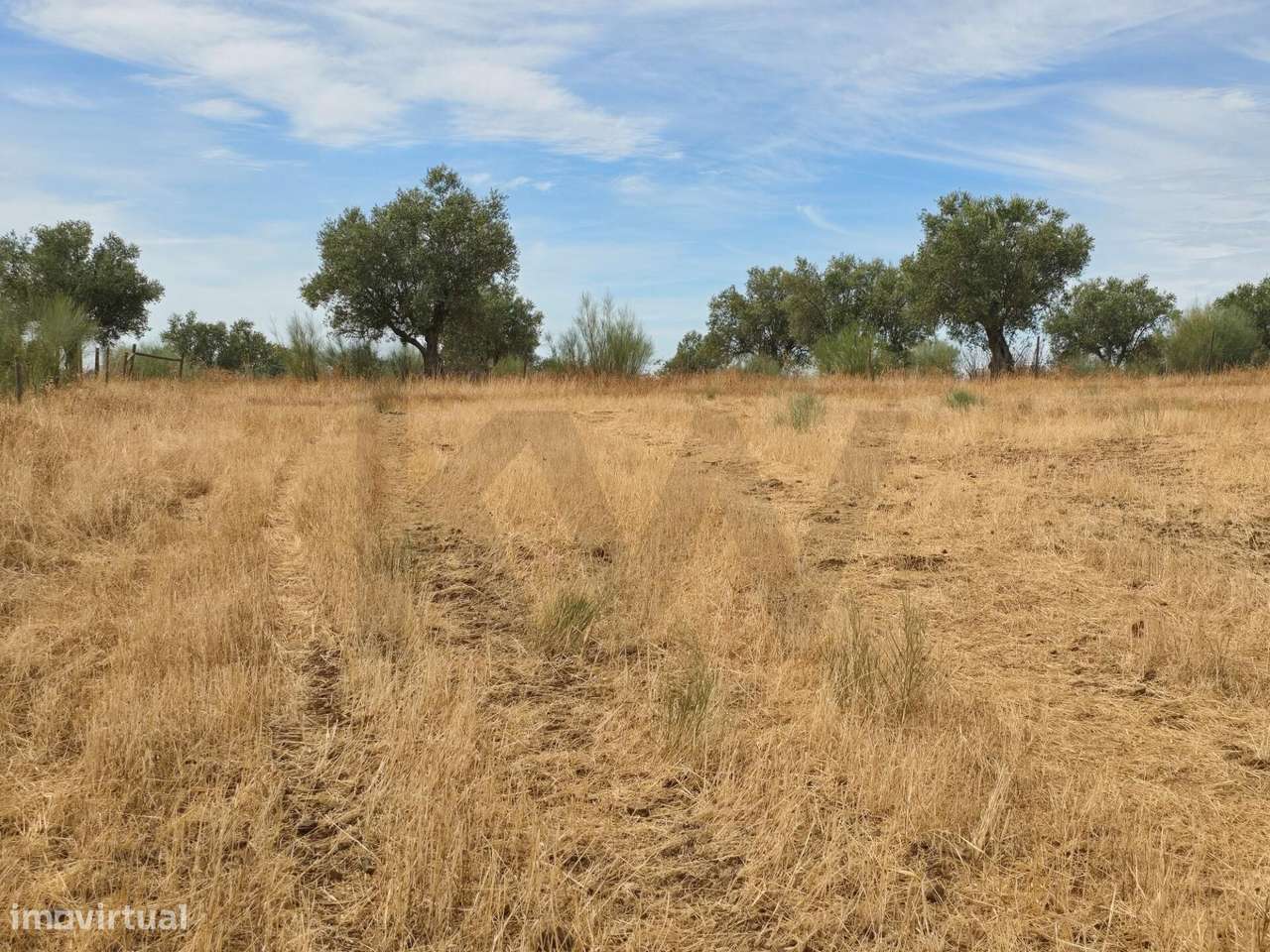 Terreno agrícola junto à aldeia de Pedrógão - Vidigueira - Grande imagem: 5/17