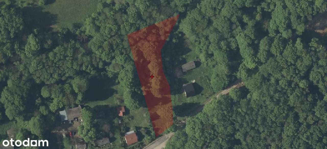 Realizuj Marzenia: Własne 28 ar pod lasem na magicznym Roztoczu! z WZ!-9