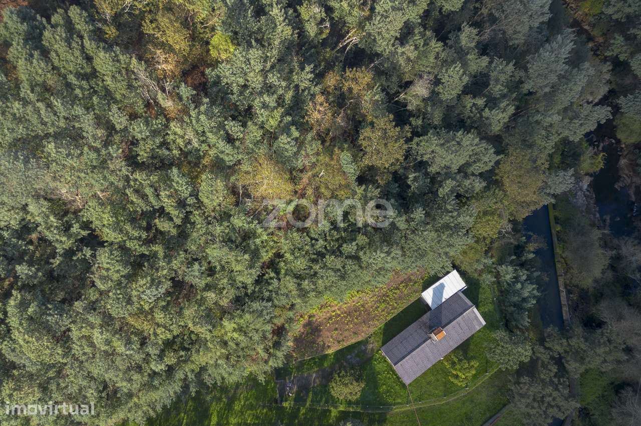 Quinta com 4ha de terreno, junto ao Rio Caima, Oliveira de Azeméis - Grande imagem: 5/33