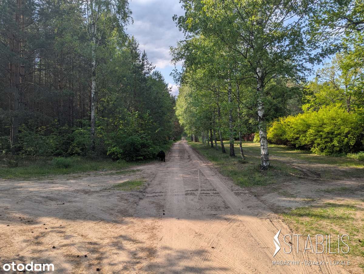 Malownicze osiedle na skraju lasu / Działki z Mpzp-3