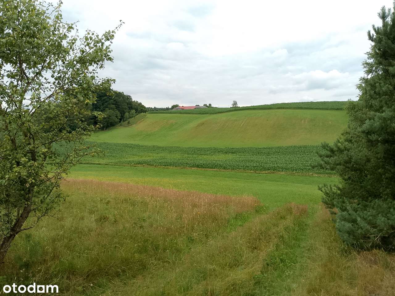 Działka, 1 500 m², Nowa Wieś Przywidzka-3