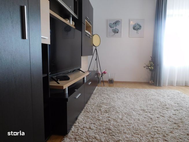 apartament in vila, cart A Muresanu-14