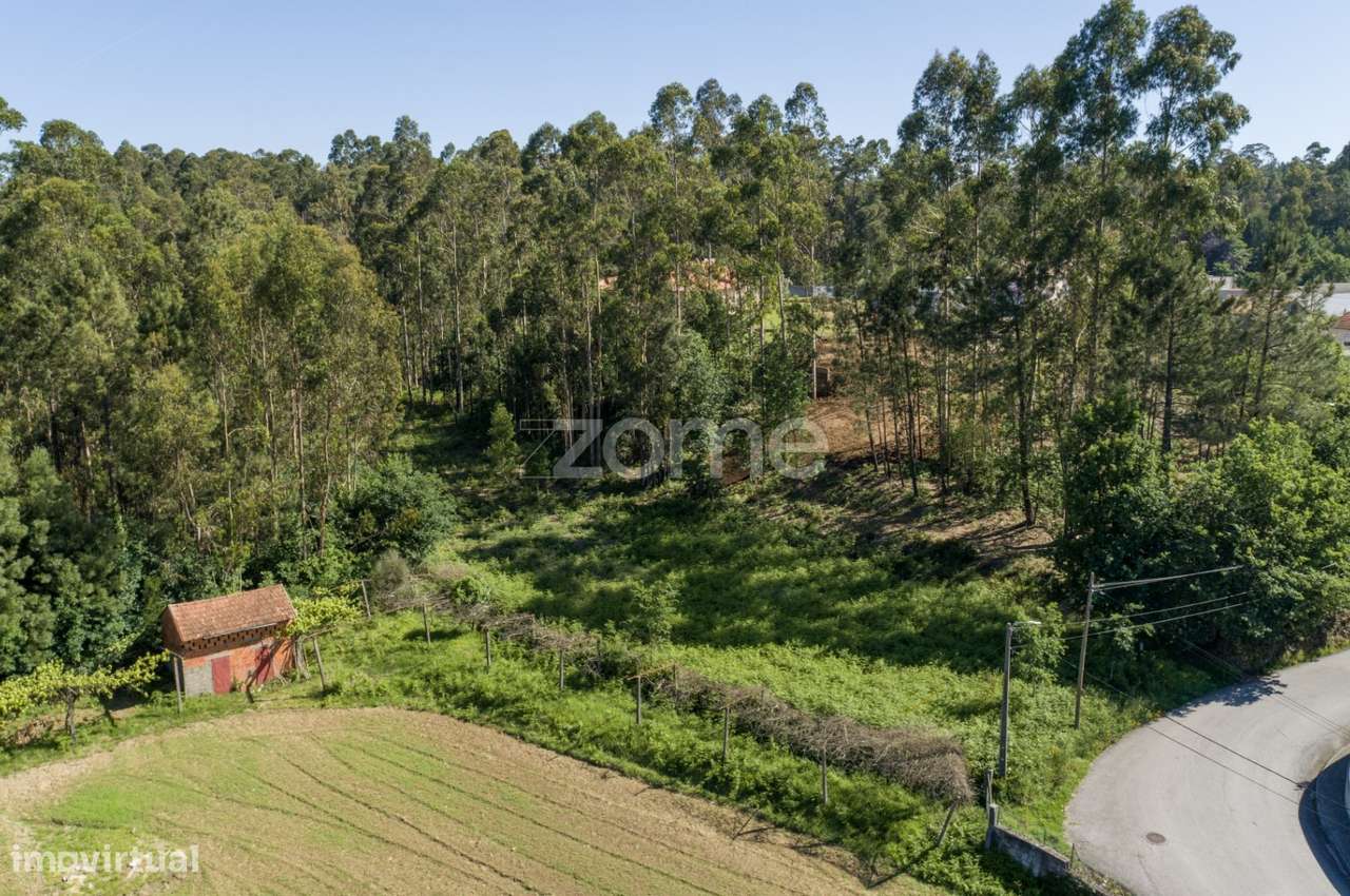 Terreno urbanizável em Caldas de São Jorge - Santa Maria da Feira - Grande imagem: 4/19