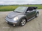 Volkswagen New Beetle - 8