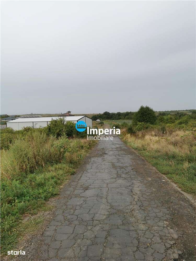 Teren intravilan de vanzare Visan 6380 mp - Imagine principală: 3/9