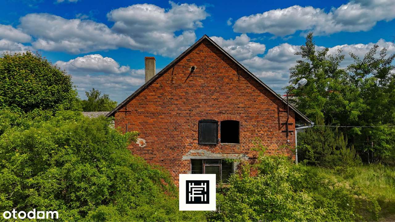 Industrialna stodoła, wielki teren i las–czy to będzie Twoje miejsce?-0