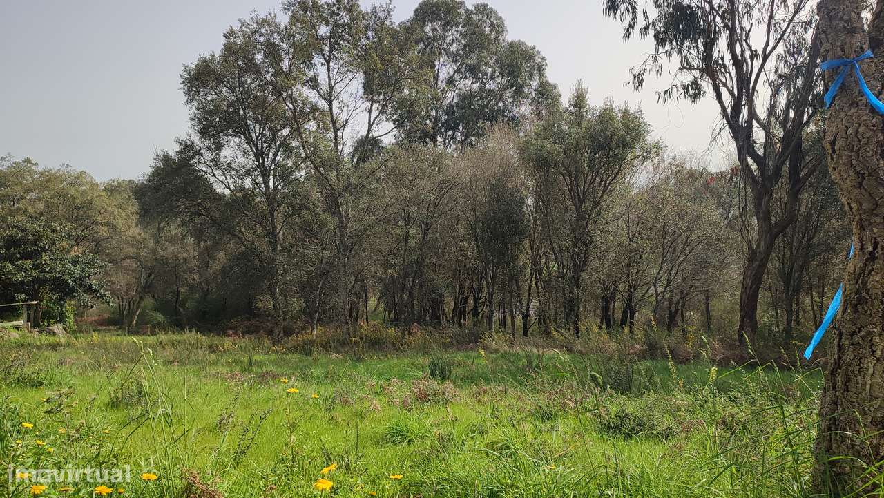 Terreno em Turiz, Vila Verde-7