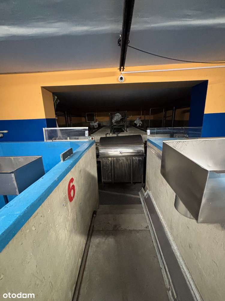 Obiekt Zakład produkcji Ryb +  Dom  mieszkalny-11