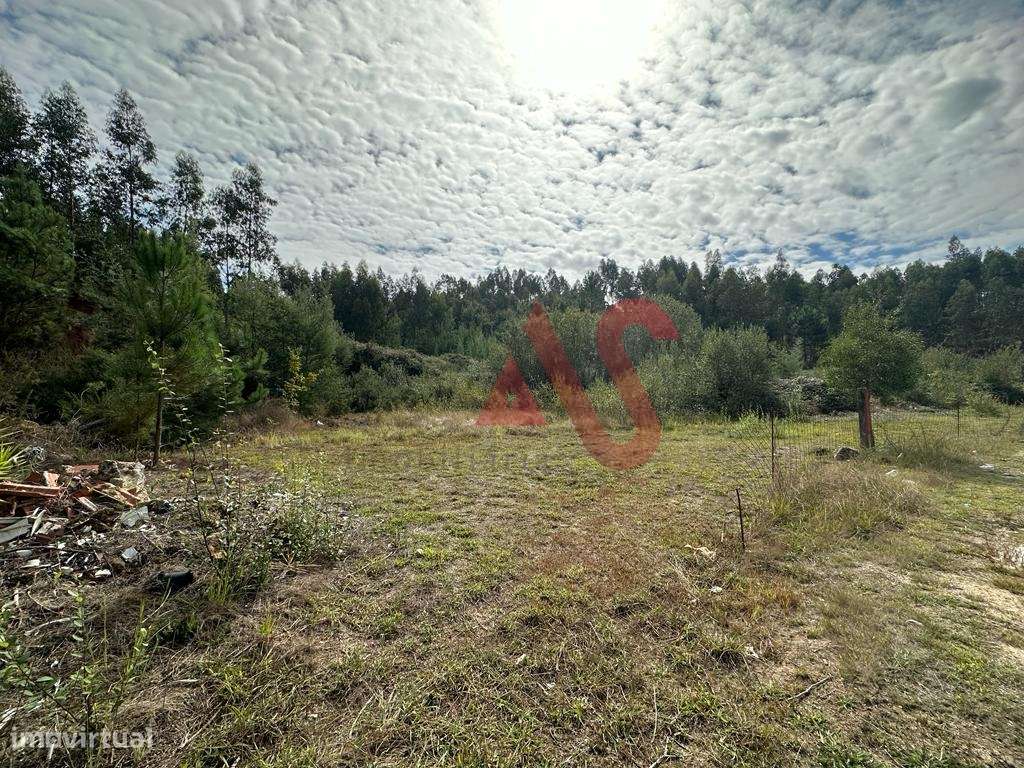 Terreno com 15.329m2 em Sande São Lourenço, Guimarães - Grande imagem: 5/14