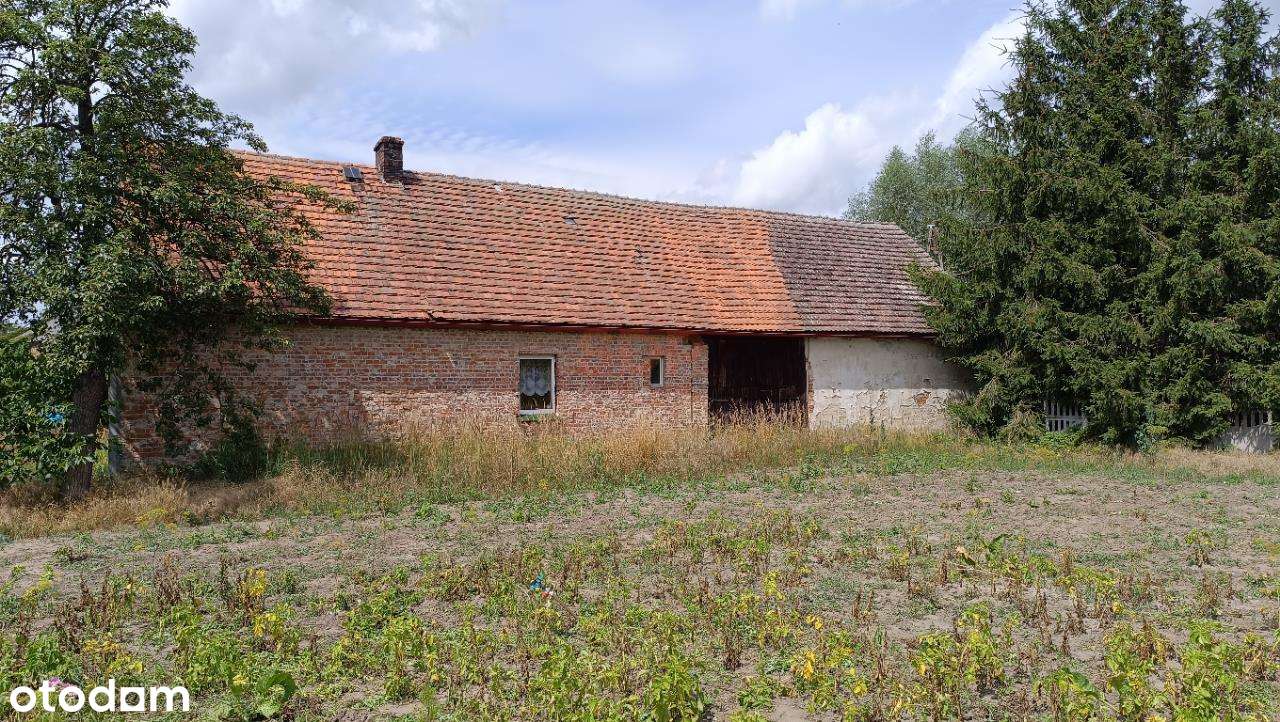 Kotowice, dom 100 m2, działka 1600 m2 - Pełny obrazek: 4/5