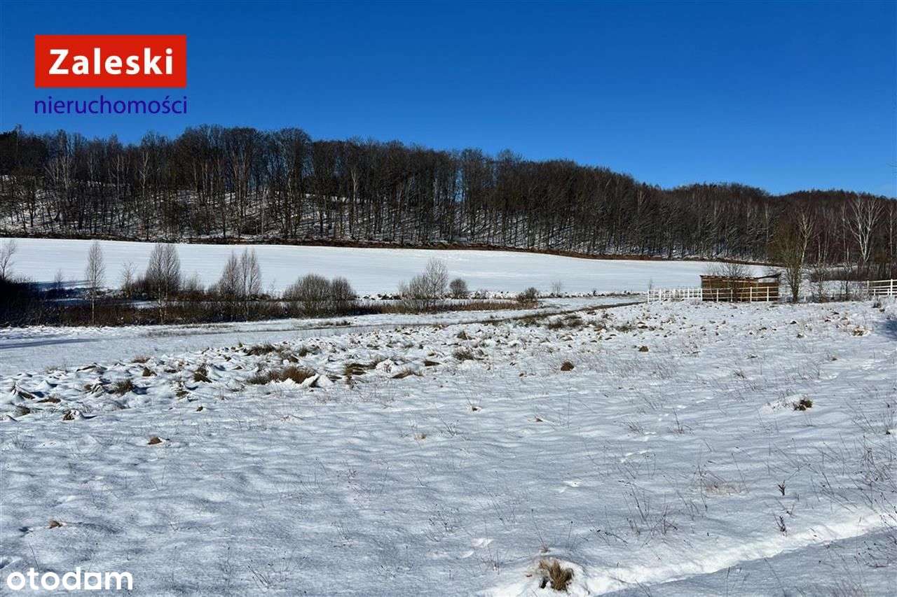 Działka siedliskowa w wydanymi warunkami zabudowy - Pełny obrazek: 5/11