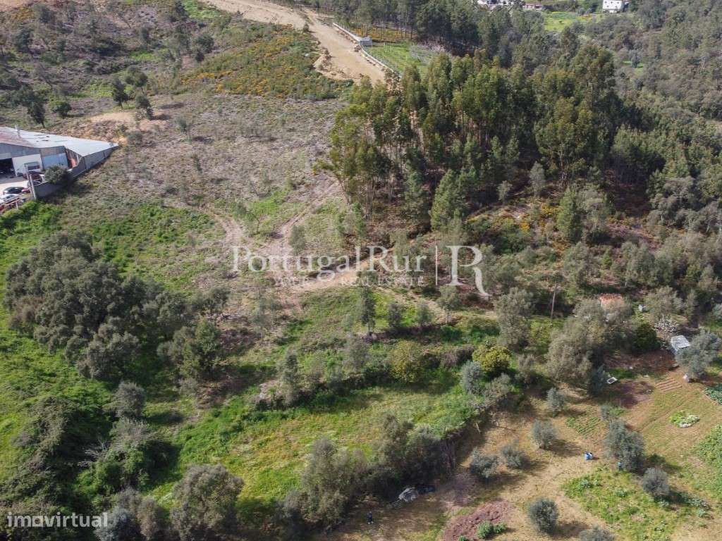 Terreno para construção em Proença-a-Nova - Grande imagem: 5/11