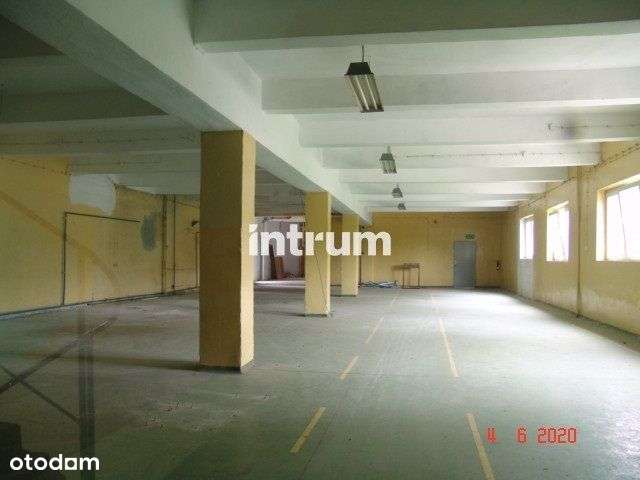 Kompleks magazynowy 12 km od granicy czeskiej! - Pełny obrazek: 4/6