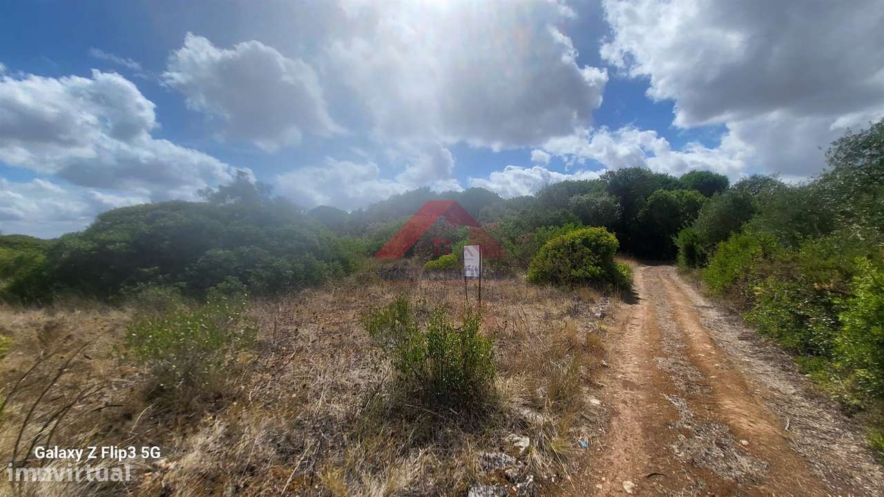 Terreno Rústico  Venda em Cartaxo e Vale da Pinta,Cartaxo - Grande imagem: 3/5