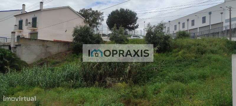 Terreno para construção, Chamusca e Pinheiro Grande, Santarém - Grande imagem: 5/6