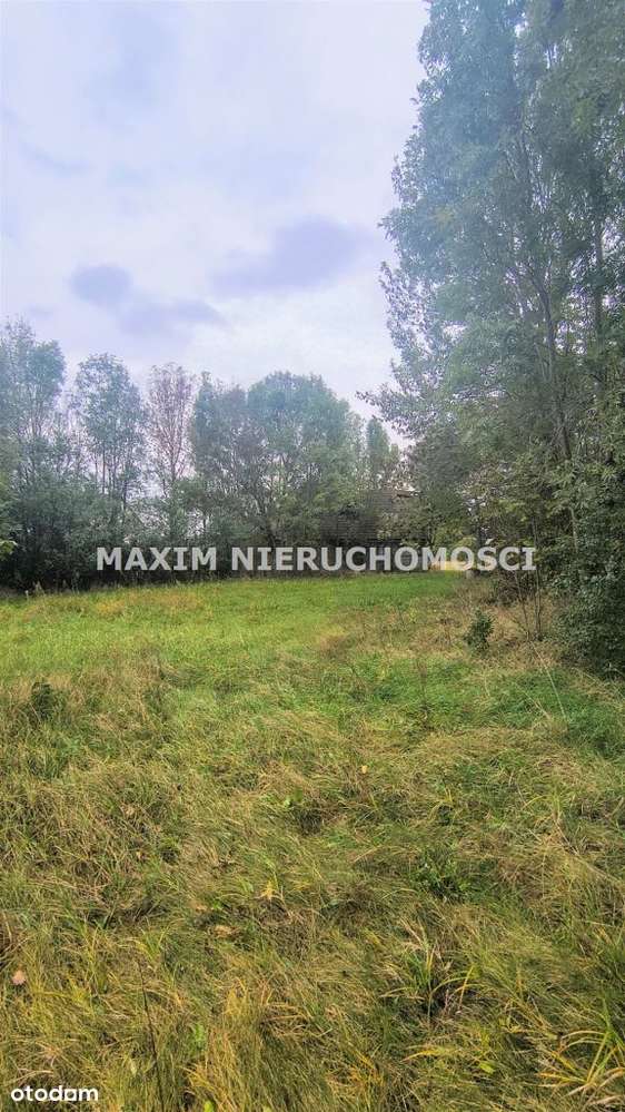 Siedlisko 1,4ha z drewnianym domem do rozbiórki - Pełny obrazek: 4/6