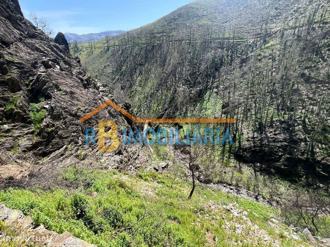 Moradia V1 em Fragoselas, São Pedro do Sul-18