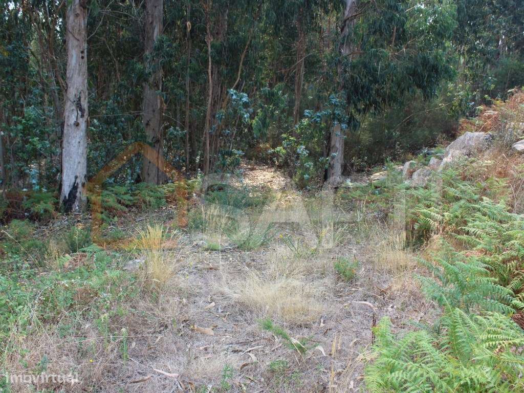 Terreno de Construção, com 1100m2 - Grande imagem: 4/4