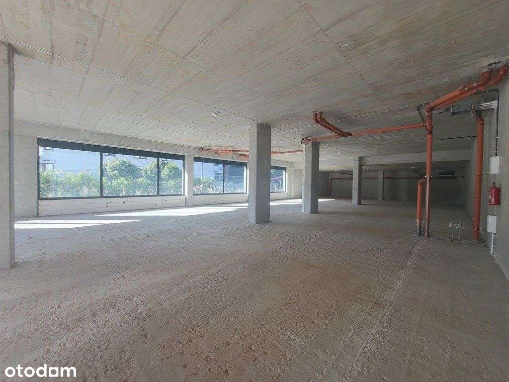 Łódź ul. Nowe Sady 430m2, medycyna, żłobek Wynajem - Pełny obrazek: 5/14