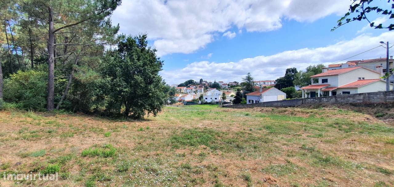 Terreno 5747 m2 I Fala - São Martinho do Bispo I Viabilidade Construçã-6