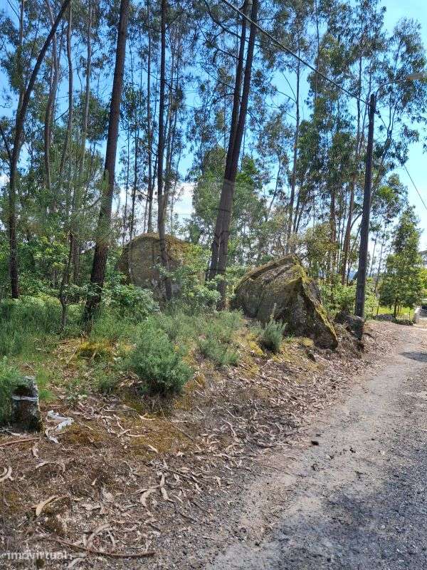 Terreno  para venda - Grande imagem: 4/4